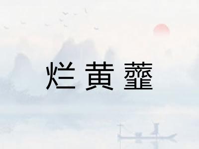 烂黄虀