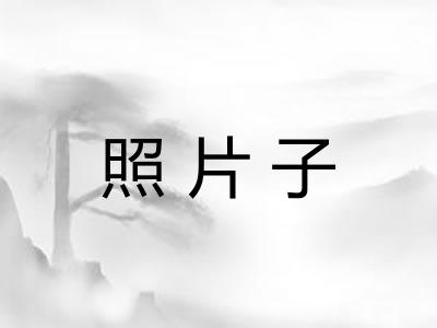 照片子