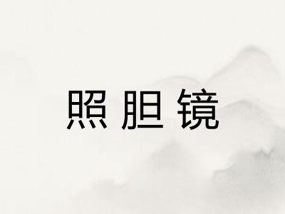 照胆镜