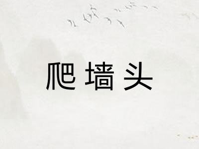 爬墙头