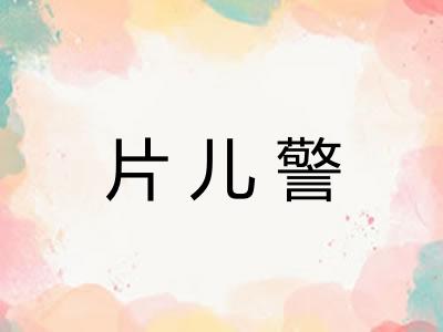 片儿警