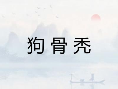 狗骨秃