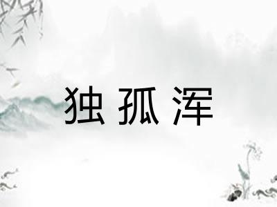 独孤浑