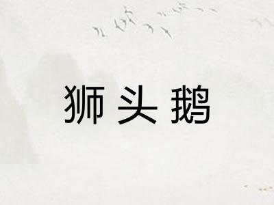 狮头鹅