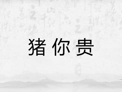 猪你贵
