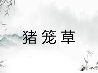 猪笼草