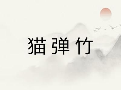 猫弹竹