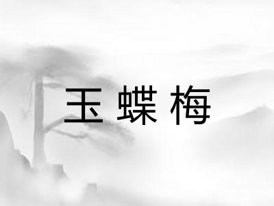 玉蝶梅