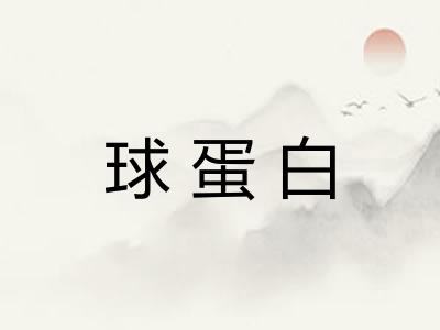 球蛋白