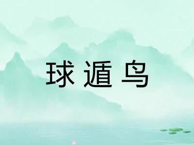 球遁鸟