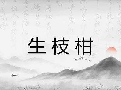 生枝柑