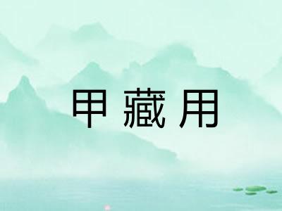 甲藏用