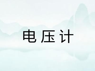 电压计