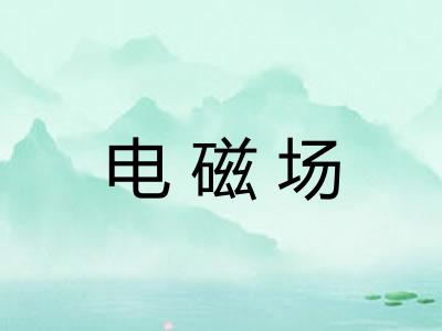 电磁场