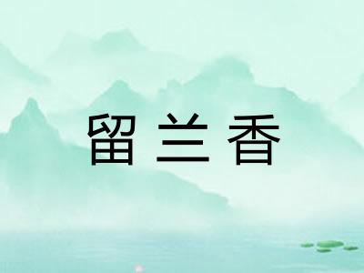 留兰香