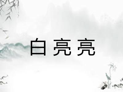白亮亮