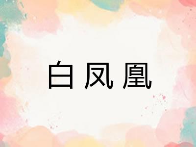 白凤凰