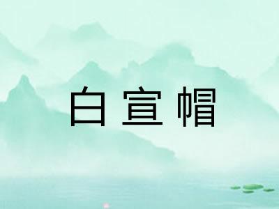 白宣帽