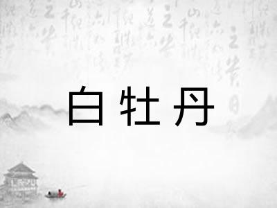 白牡丹