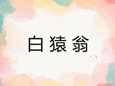 白猿翁