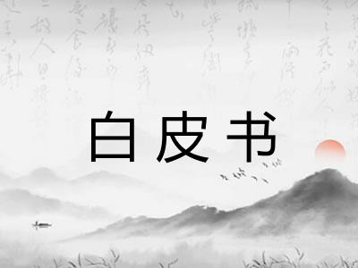 白皮书