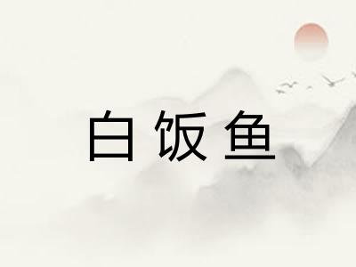 白饭鱼