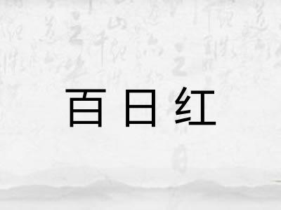 百日红