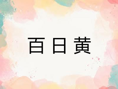 百日黄