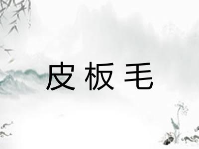 皮板毛