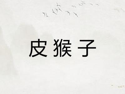 皮猴子
