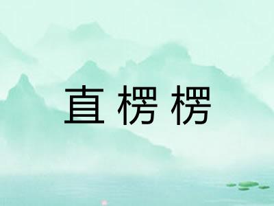 直楞楞