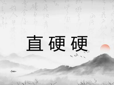 直硬硬