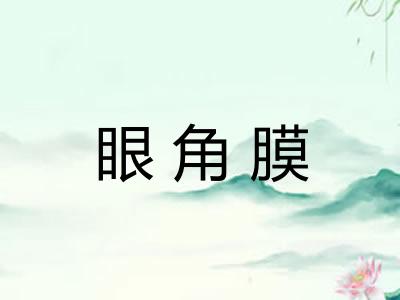 眼角膜