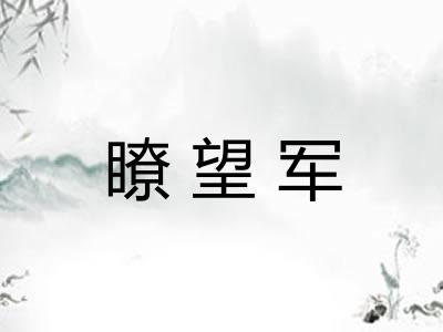 瞭望军
