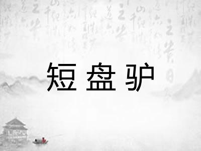 短盘驴