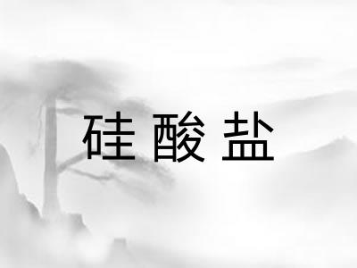 硅酸盐