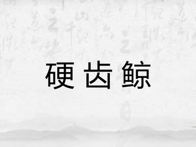 硬齿鲸