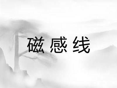 磁感线