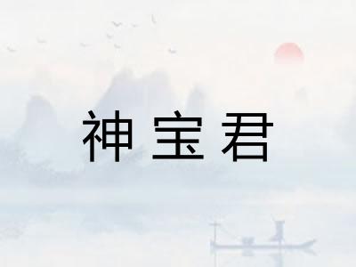 神宝君