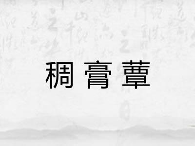 稠膏蕈