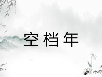 空档年