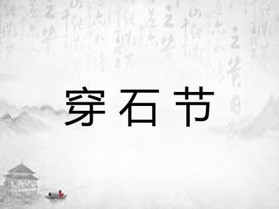 穿石节
