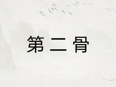 第二骨