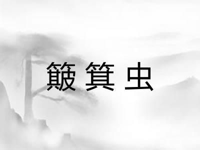 簸箕虫