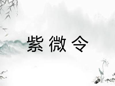 紫微令