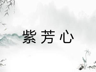 紫芳心