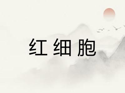 红细胞