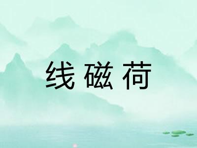 线磁荷