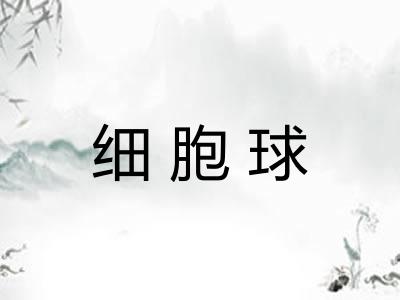 细胞球