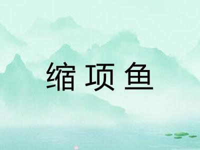 缩项鱼
